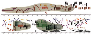 Musica Nova