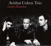 Avishai Cohen Trio - Gently Disturbed