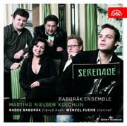 Baborák Ensemble - Serenade