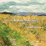 Johannes Brahms - Klavírní trio op. 8, op. 101, Sonatensatz