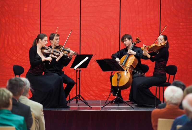 Komorní Korngold a jiní Brňané, foto Festival Janáček Brno 2012