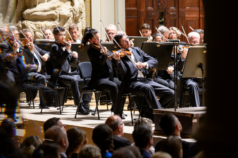 Vídeňští filharmonikové, foto Petra Hajská