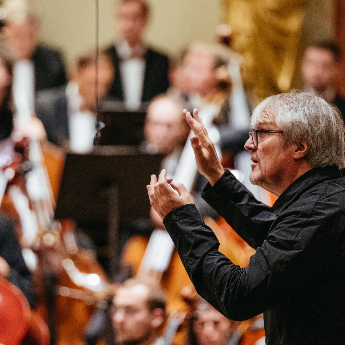 Ingo Metzmacher, foto Igor Ripak